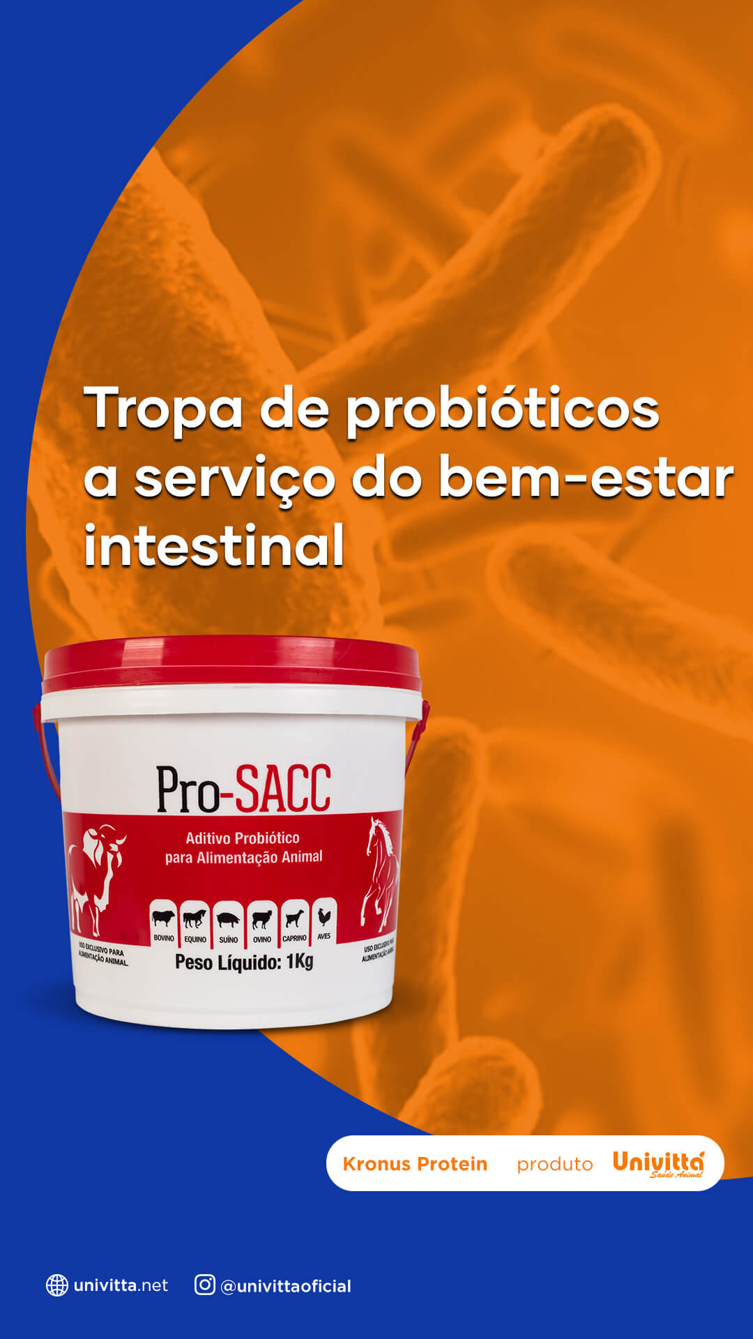 PRO-SACC