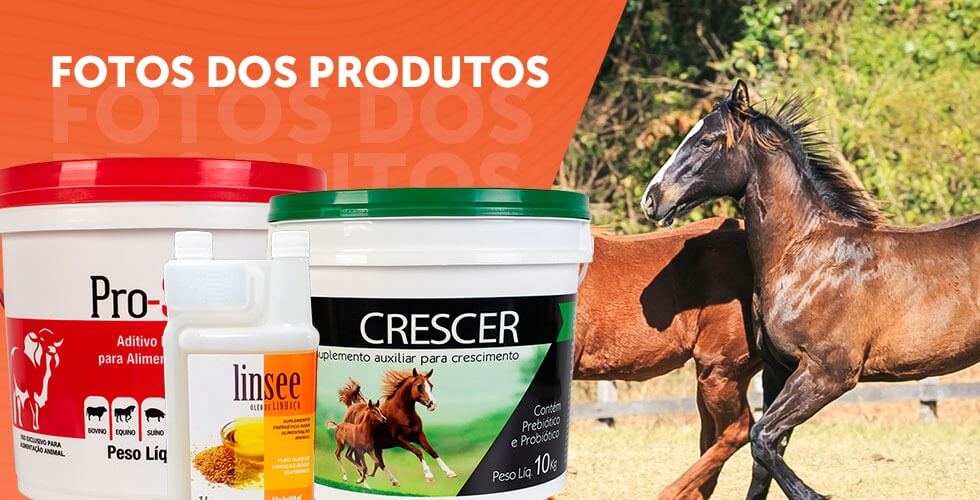 FOTOS DOS PRODUTOS