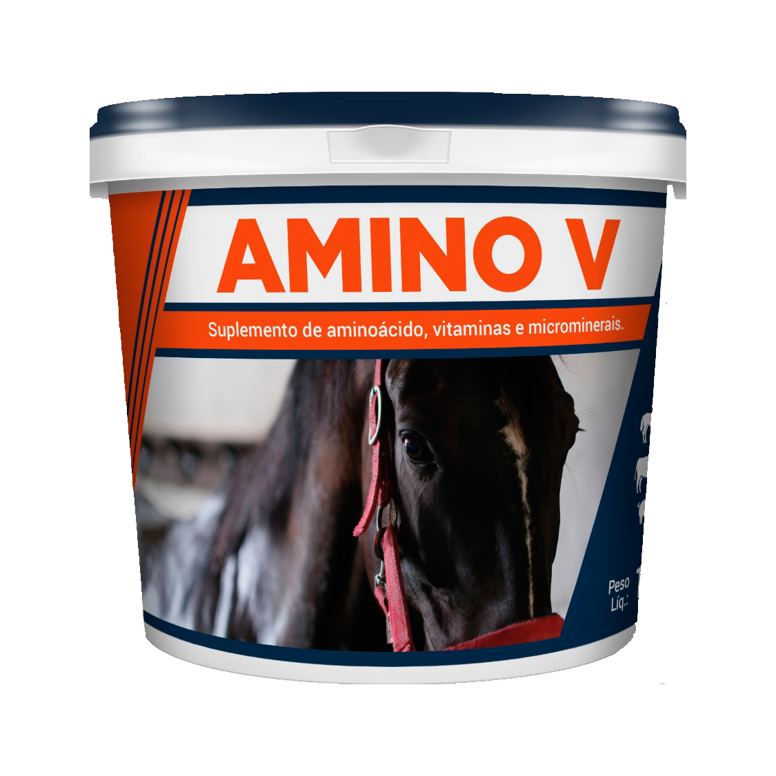 AMINO V - Complemento Nutricional Aminoácido Vitamínico e Mineral 