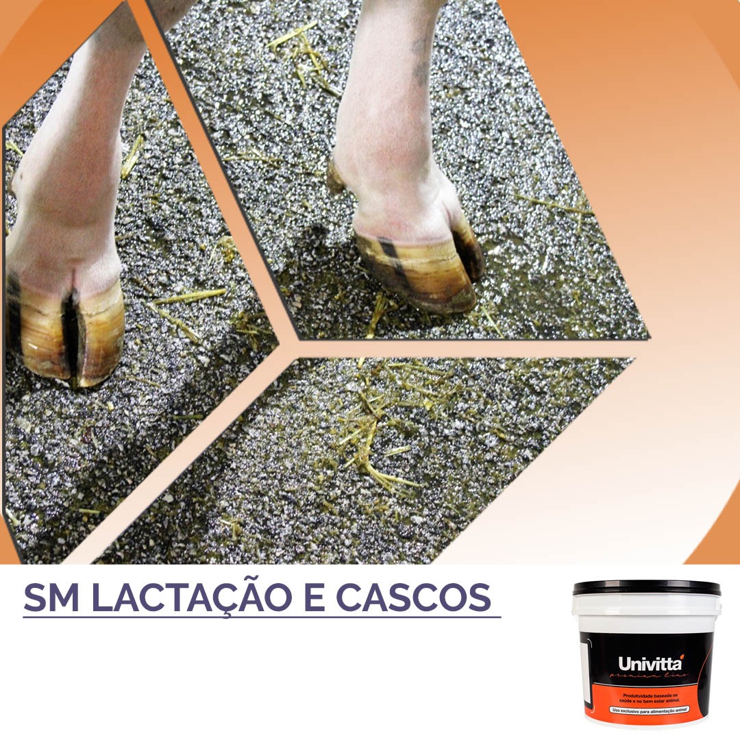 BOVI CASCO E LEITE